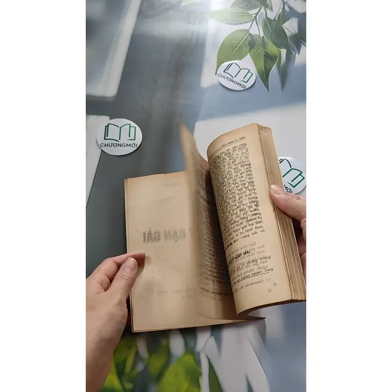 [XƯA] Tâm Lý Bạn Gái (1995) - Hoàng Xuân Việt 776058