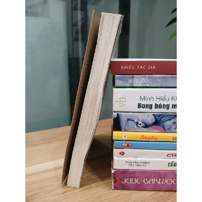 Cổ tích tình yêu – Nguyễn Thị Phượng 530605