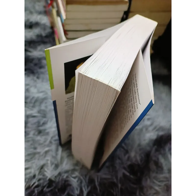 Anh em nhà Karamazov (Dostoievski) 758714