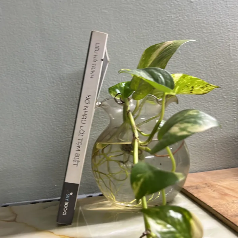 Nợ nhau lời tạm biệt 750762