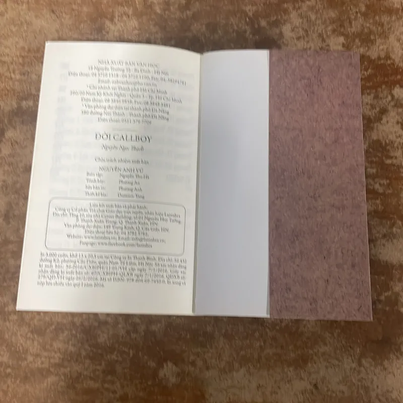 ĐỜI CALLBOY- NGUYỄN NGỌC THẠCH 675393