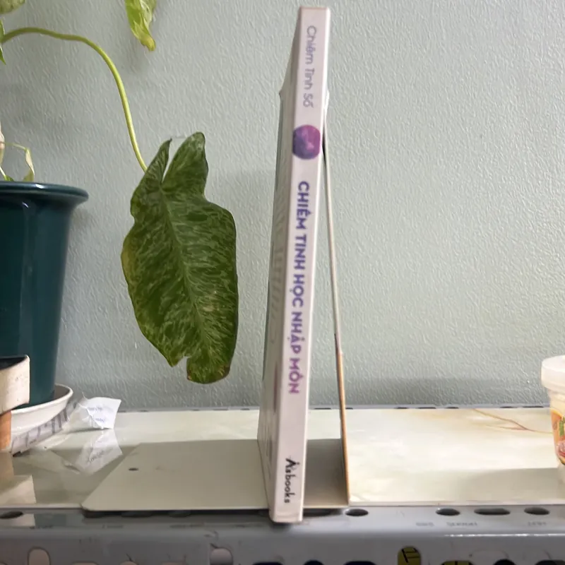 Chiêm tinh học nhập môn - Đinh Trần Tuấn Linh 755607