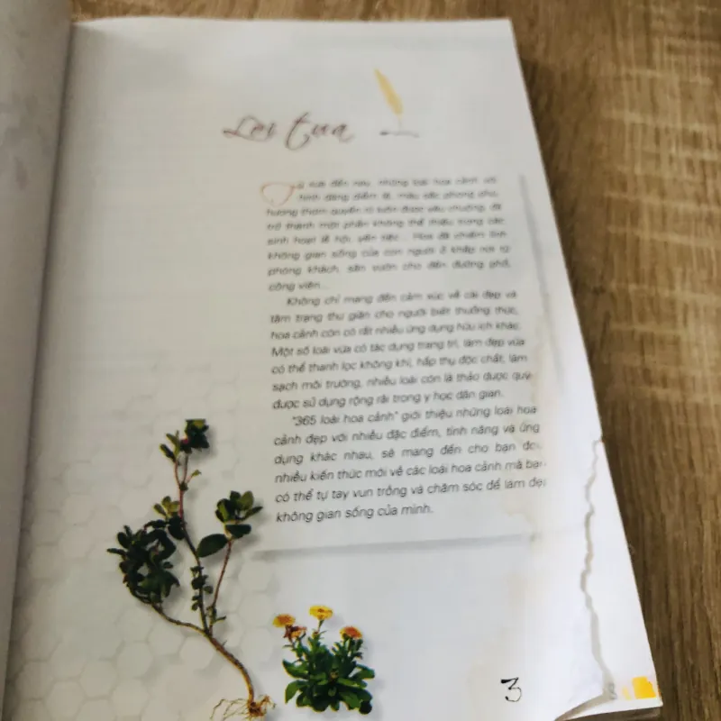 365 LOÀI HOA CẢNH 1028092