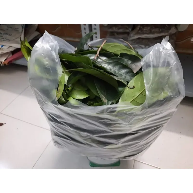 Lá cây chay tươi 758194