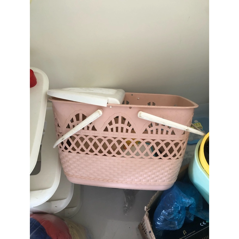 Giỏ đi sinh 455646