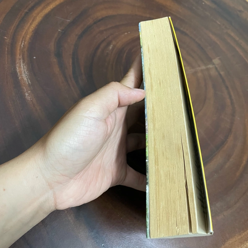 II Tựa sách: Cuộc Phiêu Lưu Của Tom Sawyer - MARK TWAIN - 2015 443829