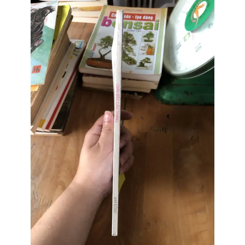 Chín bậc cầu thang 973618