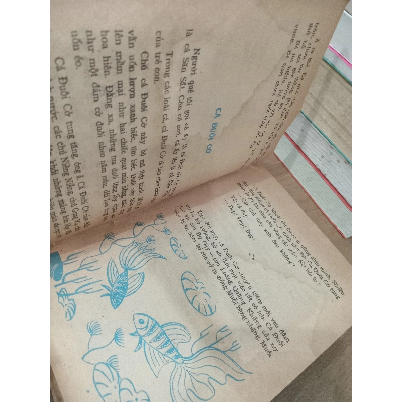 Cá đuôi cờ - Tô Hoài 732719