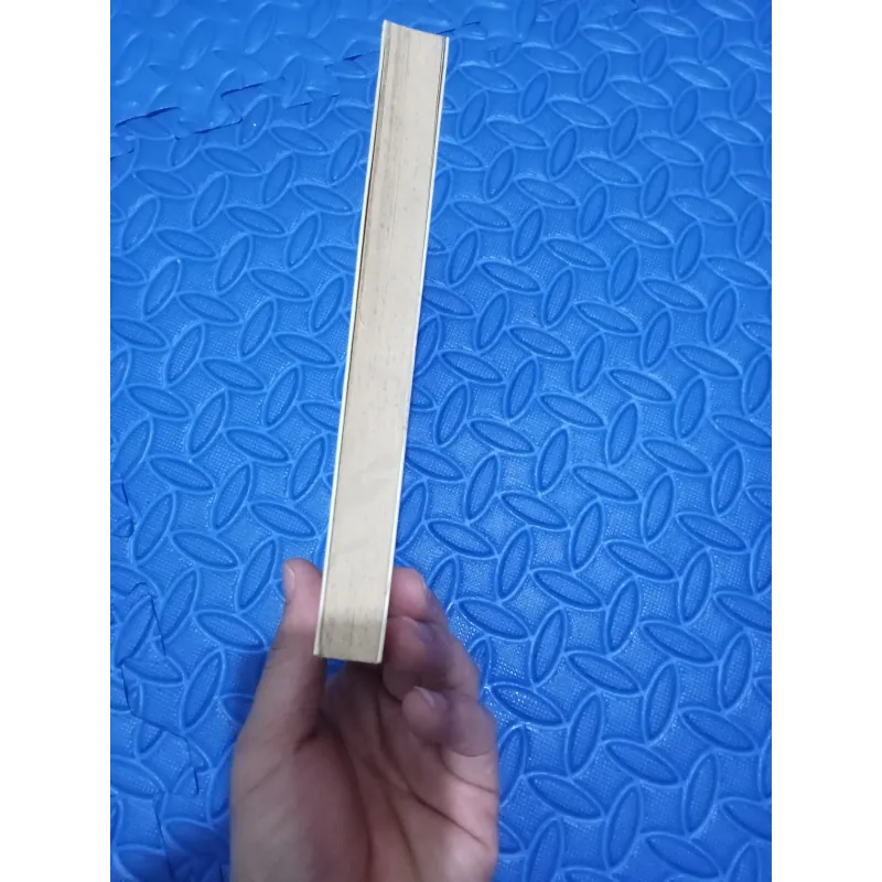 Đừng Mơ Từ Bỏ Sách Giấy 934152