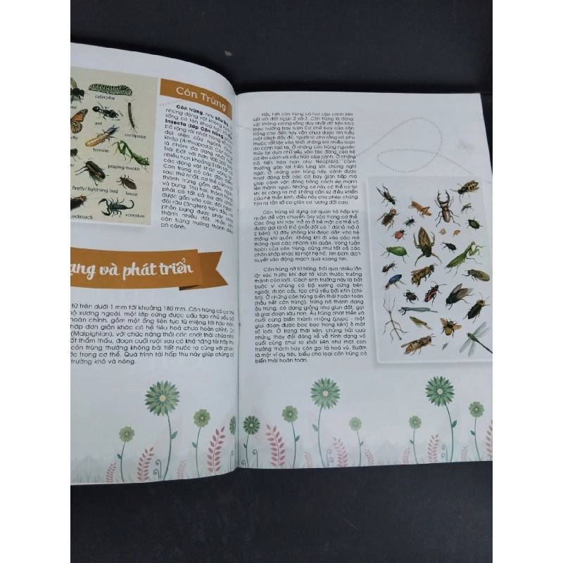 Bí mật của thế giới côn trung (sách màu) mới 80% ố nhẹ 2017 HCM2811 Lê Quang KHOA HỌC ĐỜI SỐNG 917947