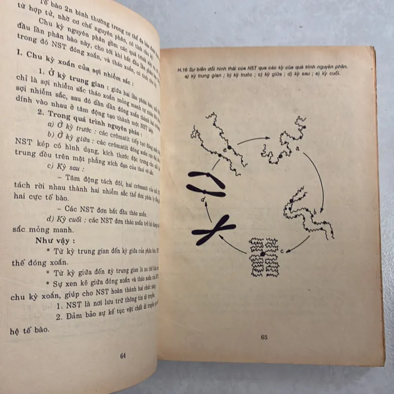 Câu hỏi giáo khoa Sinh học học luyện thi vào đại học Tập 1 - Lê Thị Thảo 783662