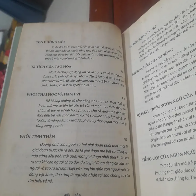 Phương pháp giáo dục Montessori - SỨC THẨM THẤU CỦA TÂM HỒN 720639