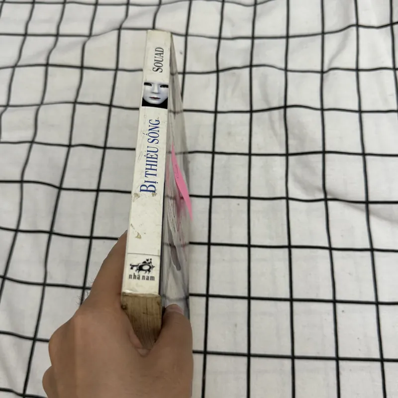 Bị thiêu sống 596971