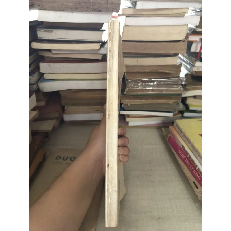 Thất chơn nhơn quả 995104