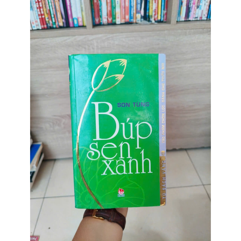 Búp sen xanh - Sơn Tùng 491709