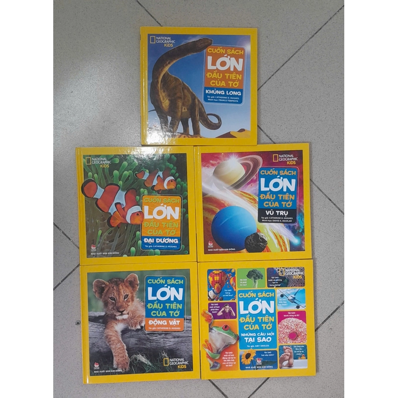 CUỐN SÁCH LỚN ĐẦU TIÊN CỦA TỚ (5 CUỐN) 455349