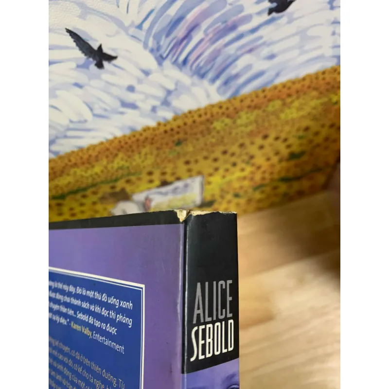 Hình Hài Yêu Dấu - Alice Sebold 926353