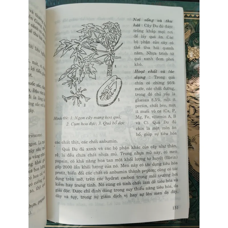 CÂY THUỐC TRỊ BỆNH THÔNG DỤNG - PTS. VÕ VĂN CHI 996132