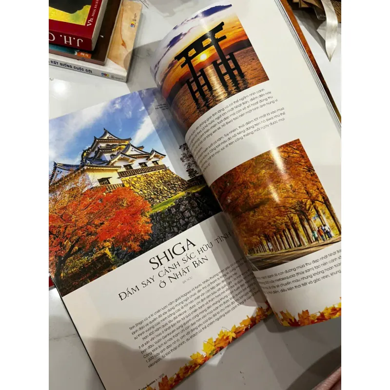 Tạp chí The Holiday ⭐ 706488