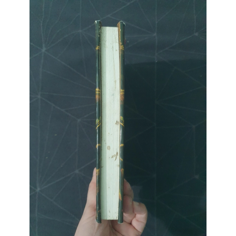 Hoàng Lê Nhất Thống Chí  (bìa cứng) - Ngô Gia Văn Phái 492902
