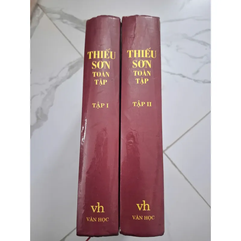 Thiếu Sơn Toàn Tập (Trọn bộ 2 tập) - Thiếu Sơn - Văn học/Phê bình 701329