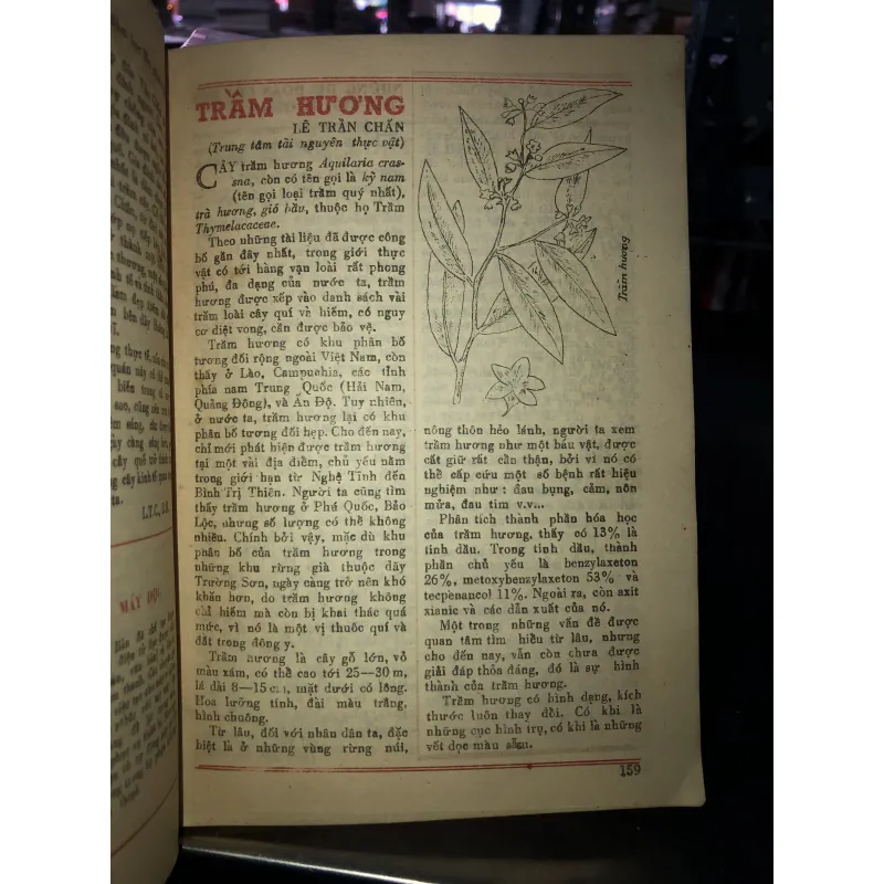 Sách lịch- Kiến thức phổ thông  796914