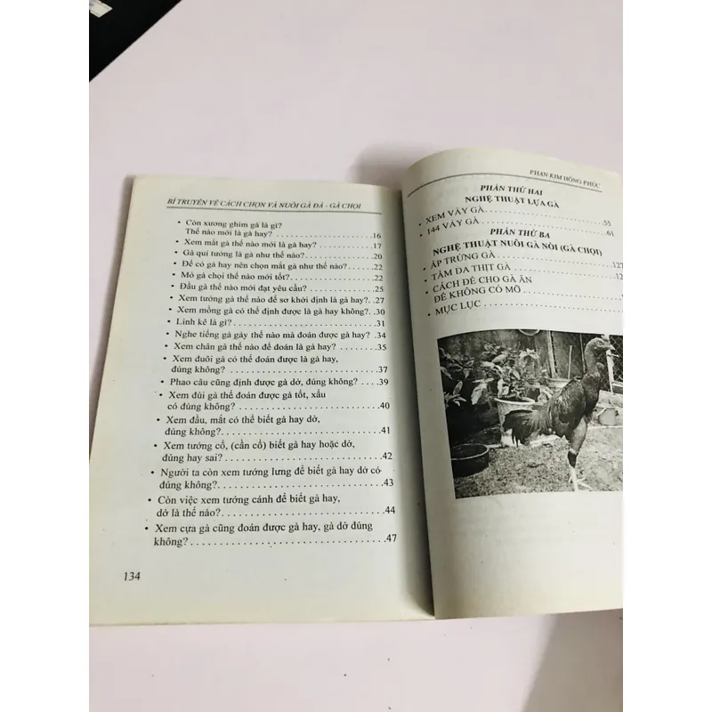 BÍ TRUYỀN VỀ CÁCH CHỌN VÀ NUÔI GÀ ĐÁ GÀ CHỌI 447866