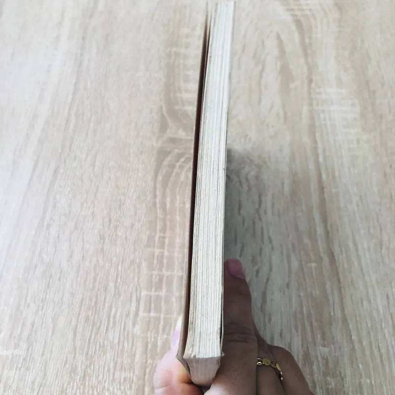 TRUYỆN KIỀU ( Bình giải, chú thích và minh họa) 992438