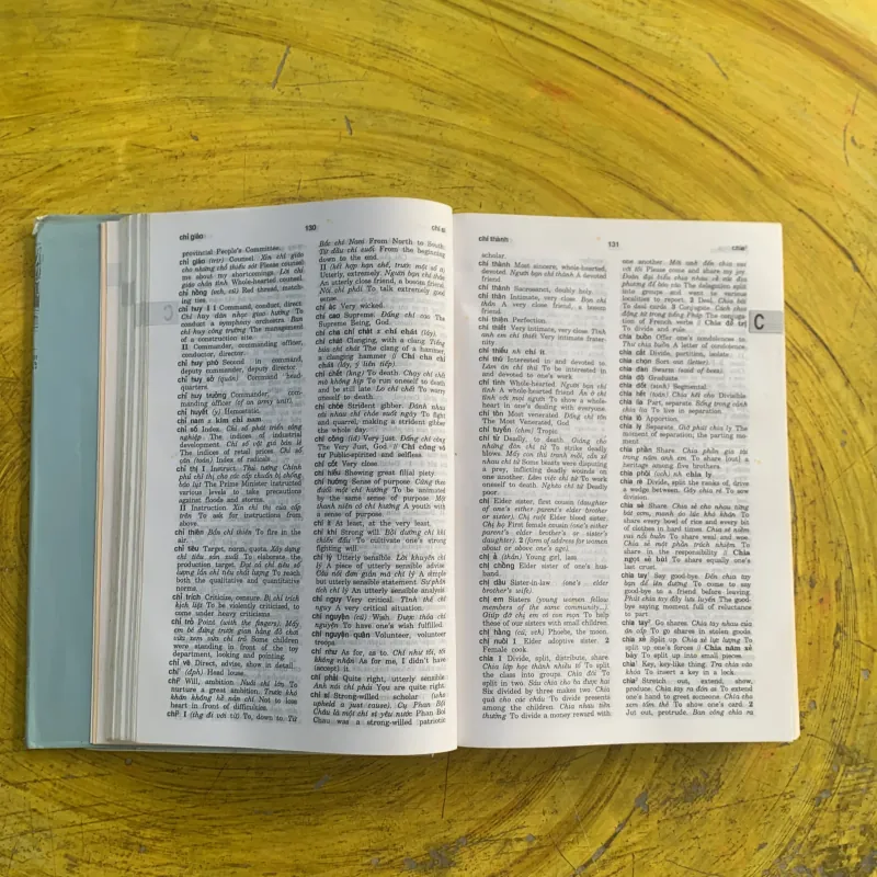 TỪ ĐIỂN VIỆT - ANH VIETNAMESE- ENGLISH DICTIONARY  1037215