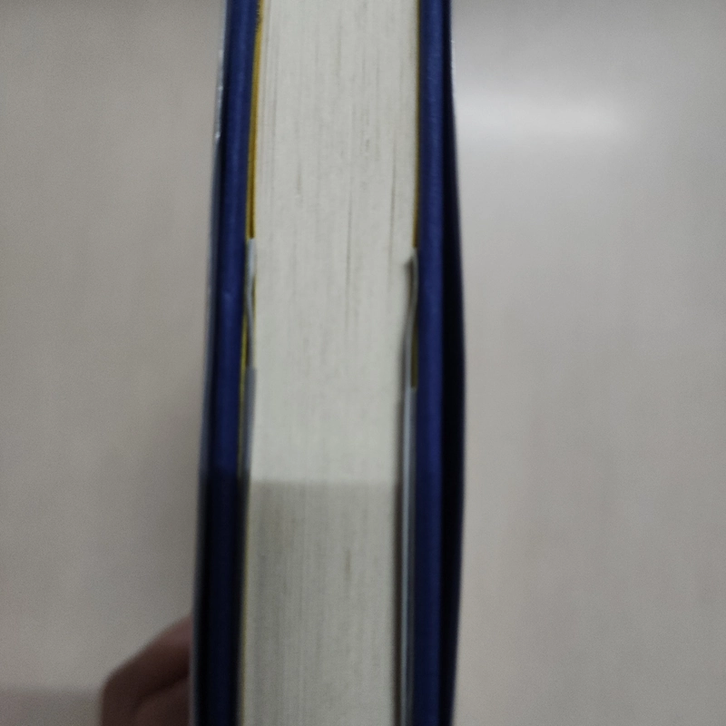 Sách Wild & Chance của Allen Zadoff mới 97% 508798