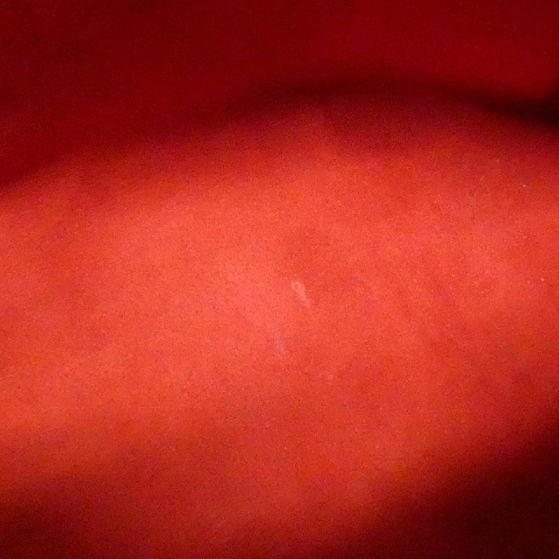 Túi xách Louis Vuitton Damier Trevi GM N51998 - Hàng hiệu Chính hãng 803476