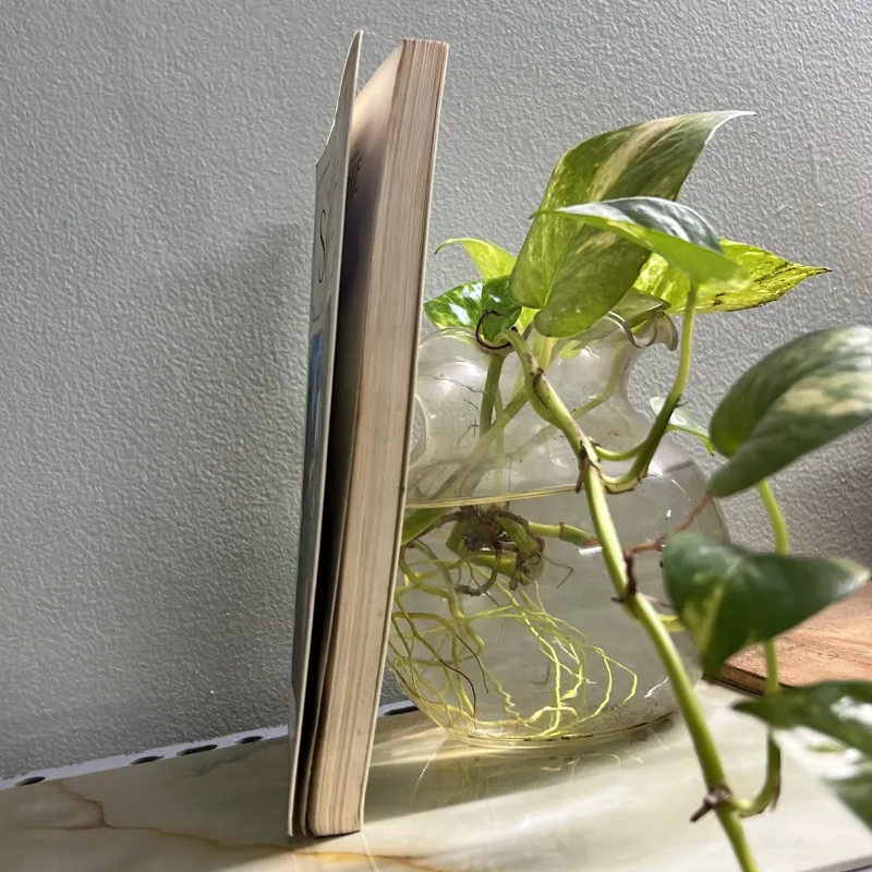 Những bất hạnh của Sophie 750755