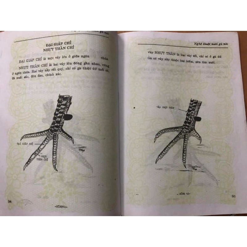 Sách Nghệ thuật nuôi gà nòi - Việt Chương 306915