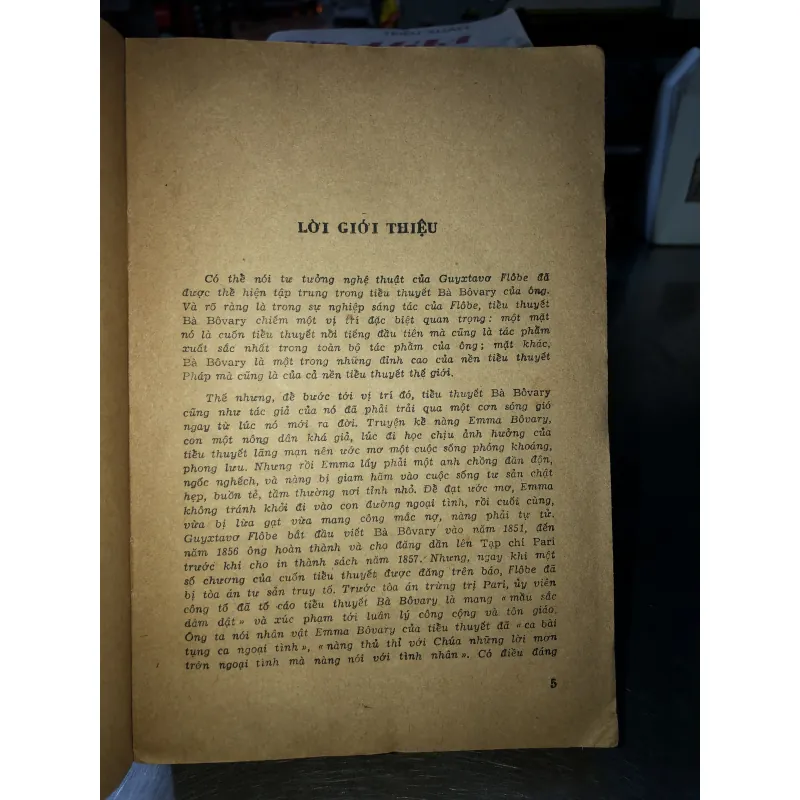 Bà Bôvary - G. Flôbe 790443