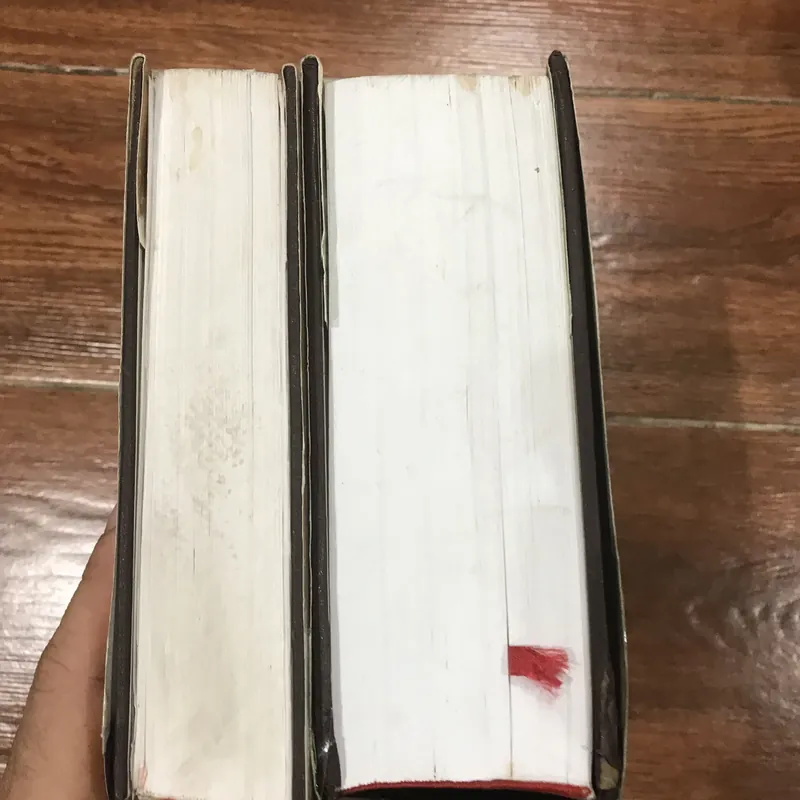 Lịch sử kinh tế Việt Nam 1945-2000 có 2 tập - Đặng Phong 709005