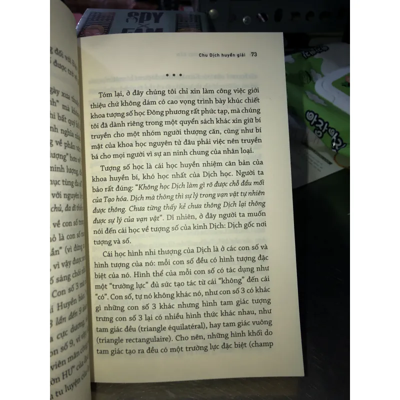 Chu dịch huyền giải - Thu Giang Nguyễn Duy Cần  753429