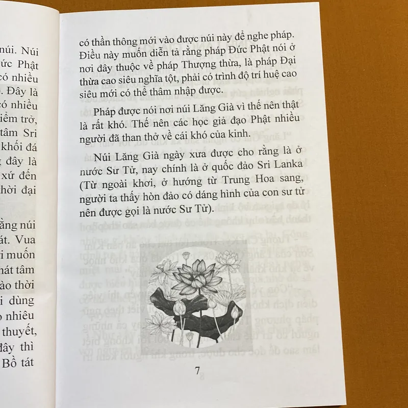 Dẫn khởi Kinh Lăng Già - Thích Như Phước Tú 605269