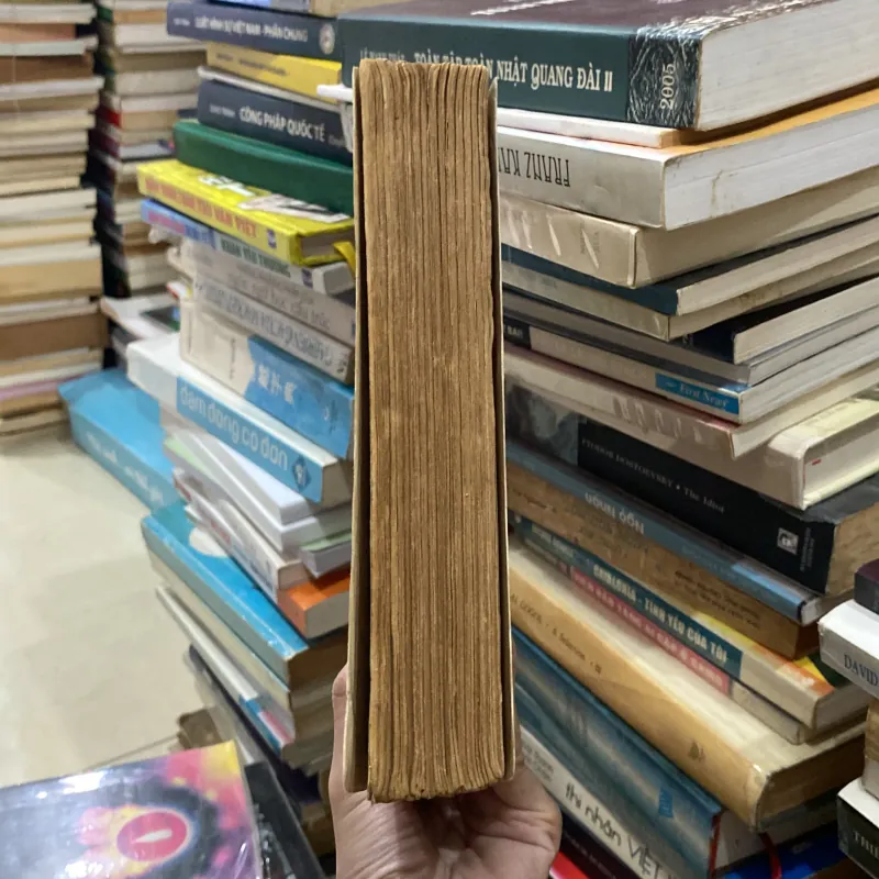 Tên Của Đoá Hồng♟️ 751432