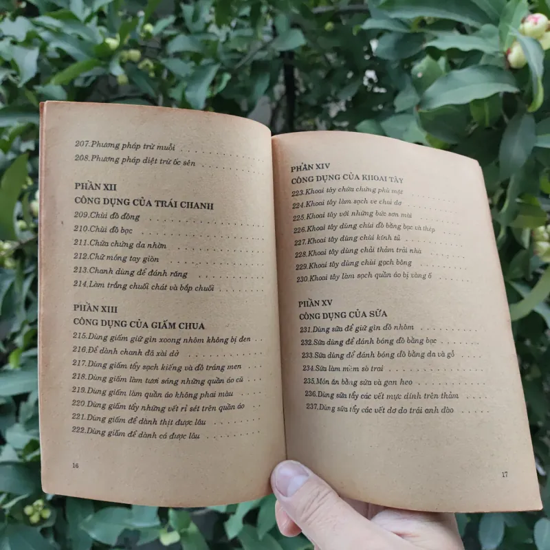 Mẹo Vặt Cho Người Đảm Đang - Nguyễn Duy - Thuỳ Minh 759351