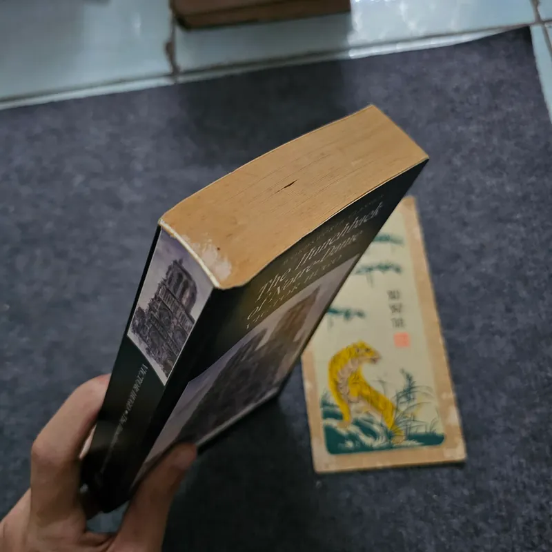 The hunchback of Nortre dame - Victor Hugo 740865