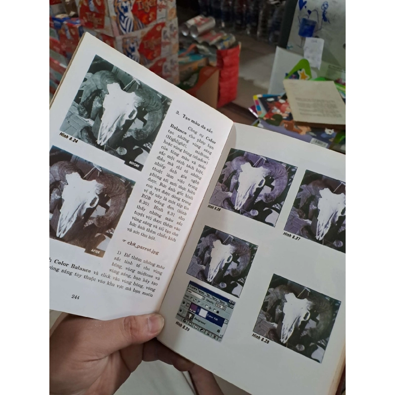 Kỹ Thuật Phục Hồi Và Chỉnh Sửa Ảnh - Katrin Eismann - 2002 mới 80% - KỸ NĂNG - HCM3012 925049