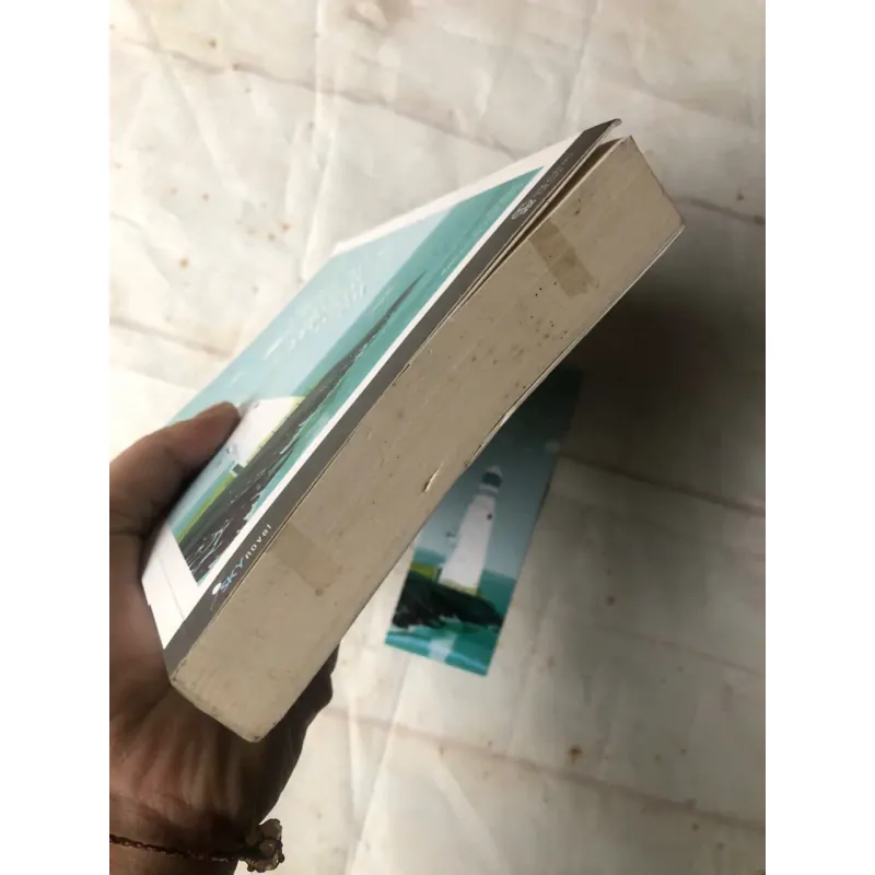 Tôi Của Mùa Hè Năm Ấy - Choi Soo Hyun 800742