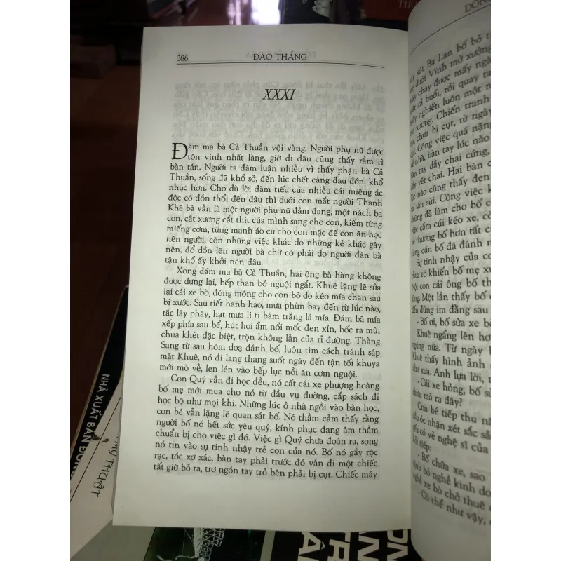 Dòng sông mía - Đào Thắng  1001837