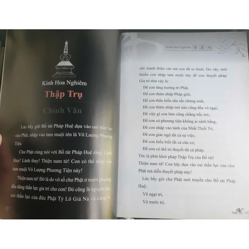Kinh Hoa Nghiêm Phẩm Thập Trụ - Chính Văn và Lược Giải - Thầy Hằng Trường mới 90% 698198