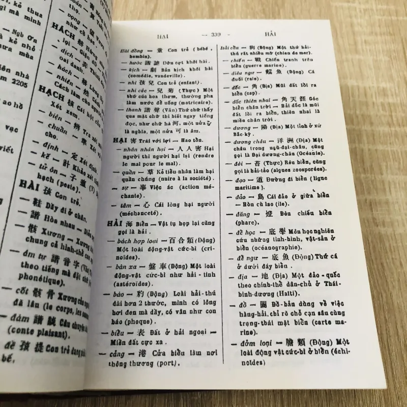 TỪ ĐIỂN HÁN - VIỆT ( Đào Duy Anh) 1000553