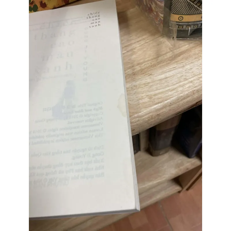 Chiếc Thang Cao Màu Xanh - Gong Ji Young 936275