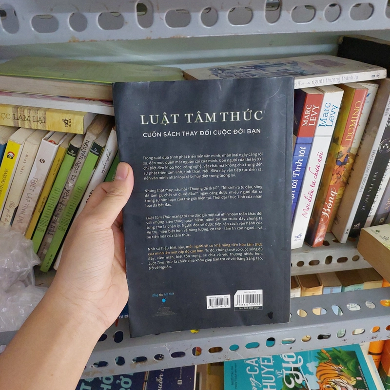 LUẬT TÂM THỨC 482417
