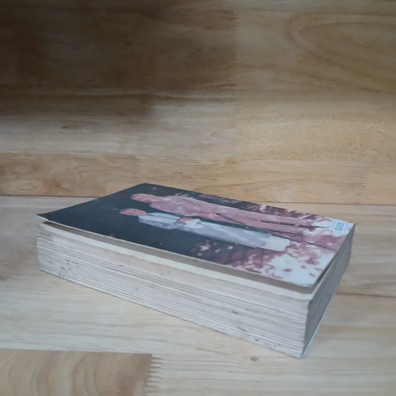 Vương Hồng Sển - Hơn Nửa Đời Hư 995788