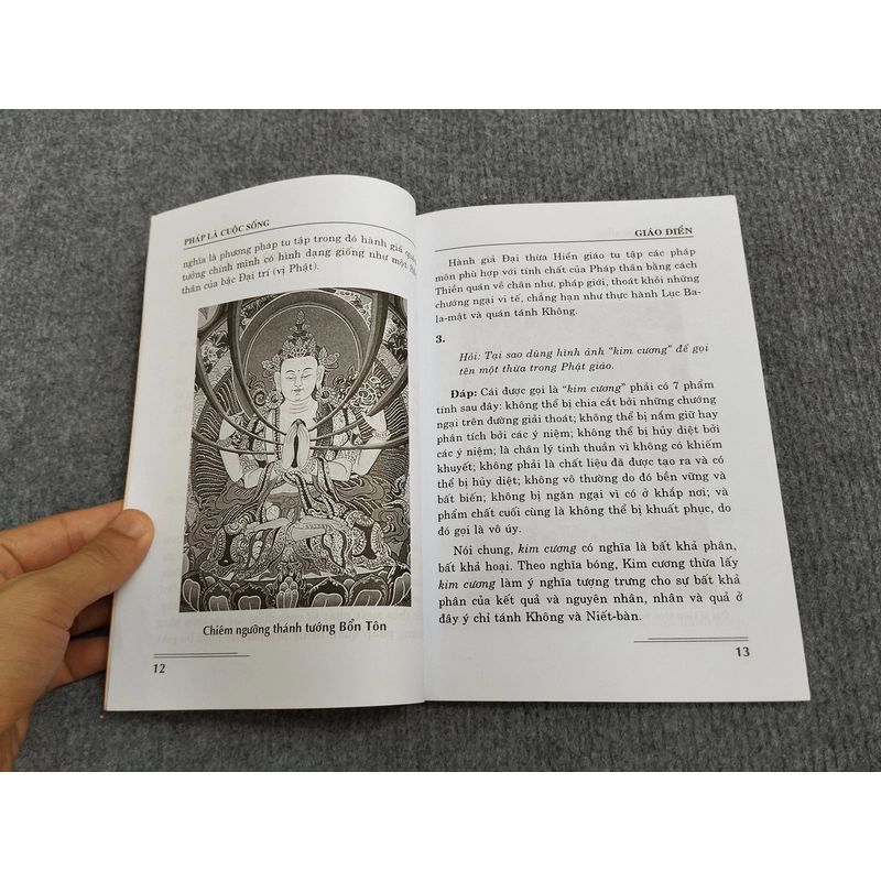 PHÁP LÀ CUỘC SỐNG THEO QUAN KIẾN MẬT GIÁO 494899