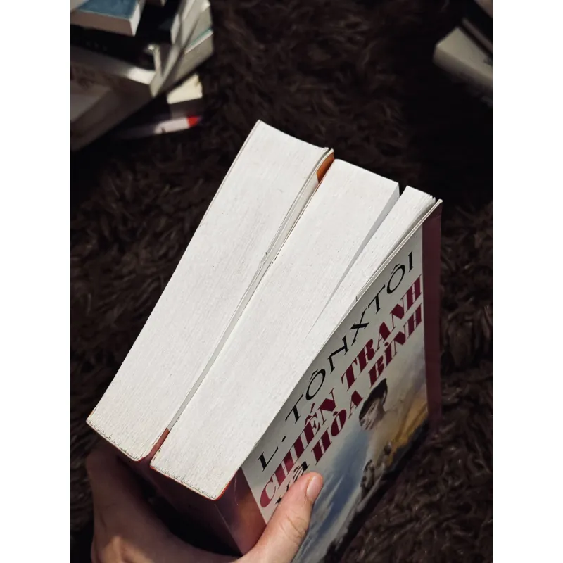 Chiến tranh và hoà bình (trọn bộ 2 tập) 1010522